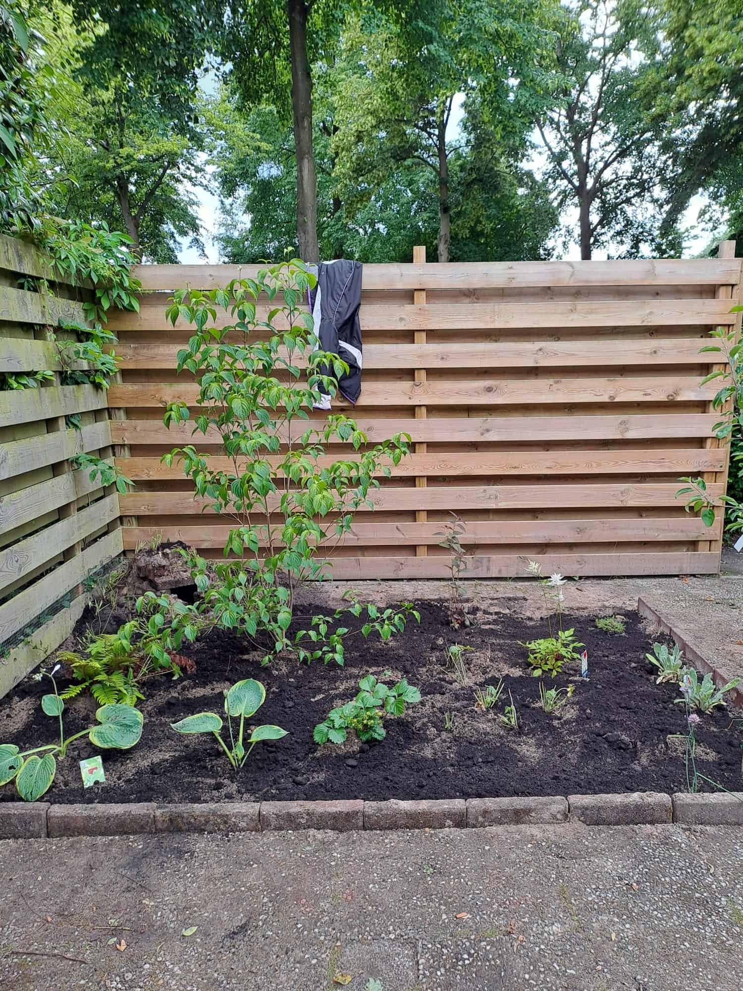 Vergroende Tuin