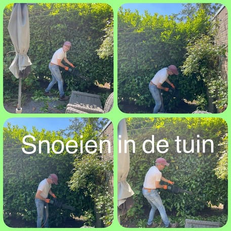 haag1